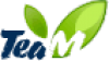 Logo team 1